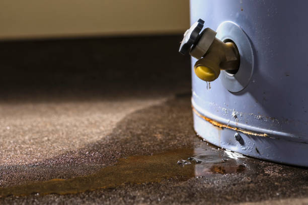 Best Water damage cleanup near me  in Dilley, TX