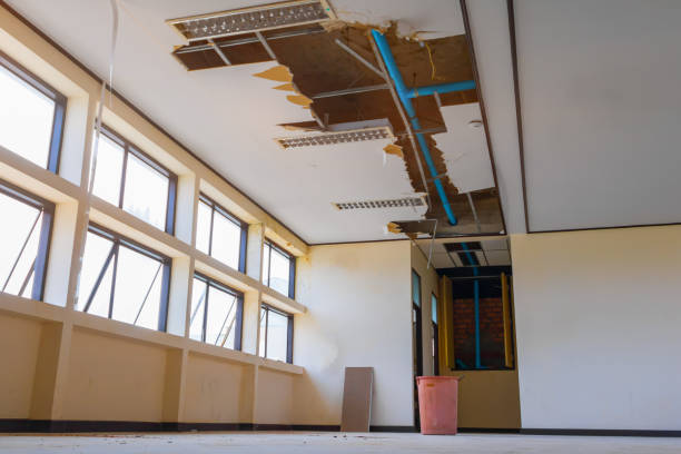 Best 24-hour water damage restoration  in Dilley, TX