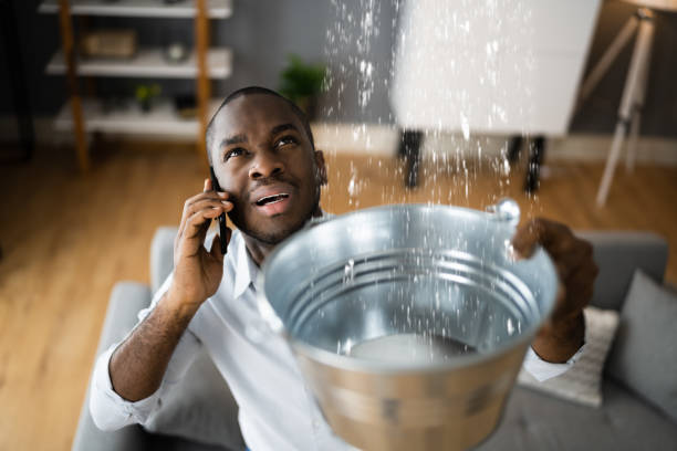 Best Sewage cleanup and water damage restoration  in Dilley, TX