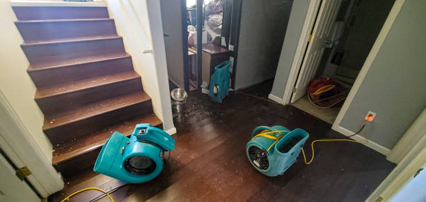 Best Carpet water damage restoration  in Dilley, TX