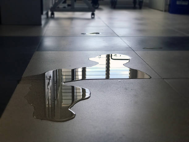 Best 24/7 water damage repair  in Dilley, TX