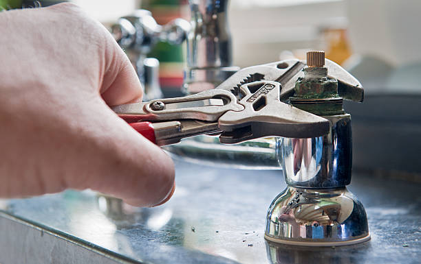 Best Flood damage cleanup  in Dilley, TX