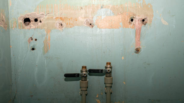 Best Emergency water damage restoration  in Dilley, TX