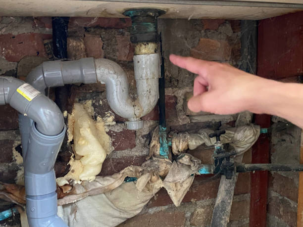  Dilley, TX Water damage restoration Pros