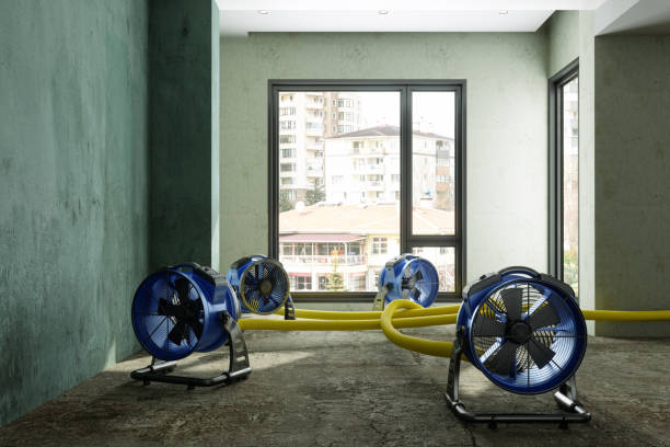 Best Commercial water damage restoration  in Dilley, TX